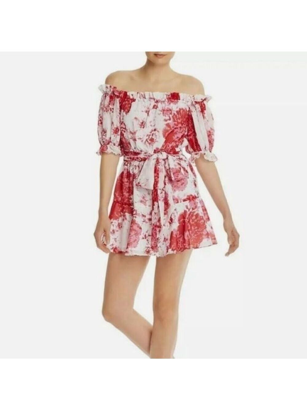 Keepsake The Label Ruffle Rose Mini Dress